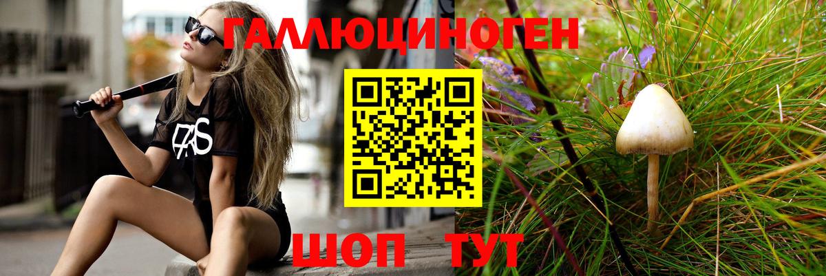 Псилоцибиновые грибы Psilocybine cubensis Берёзовский