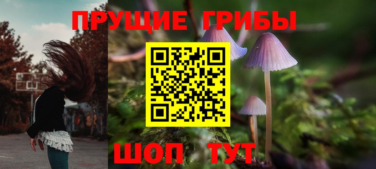 Галлюциногенные грибы Psilocybine cubensis  Вход с VPN  Берёзовский  купить закладку  Галлюциногенные грибы Psilocybe 